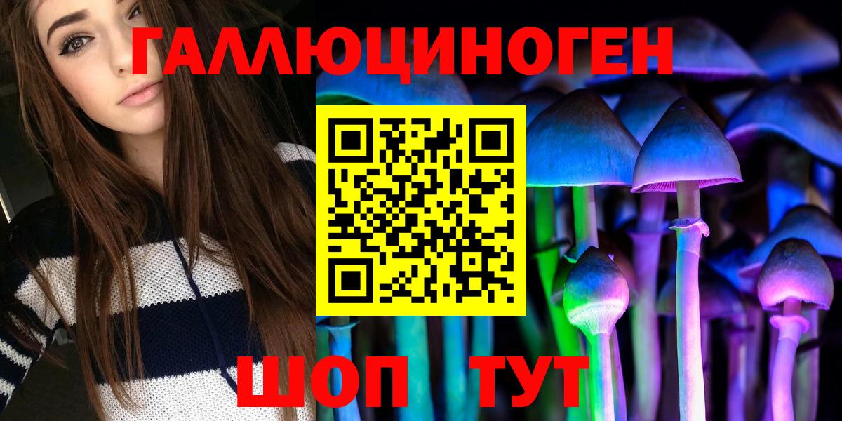 купить наркотики сайты  Вход с VPN  Фрязино  Галлюциногенные грибы мицелий 